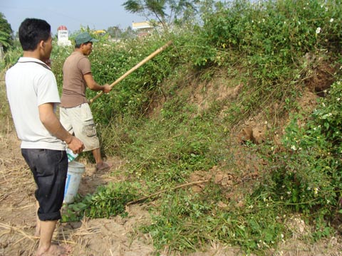 Kỳ thú chuyện săn chuột “khủng” ở Thái Bình