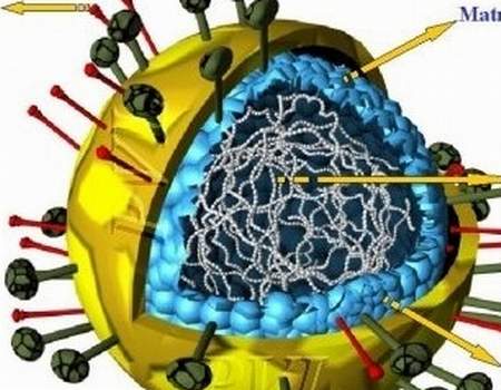 Coi chừng trẻ bị viêm tiểu phế quản 3