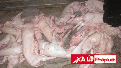 {keywords} {keywords}