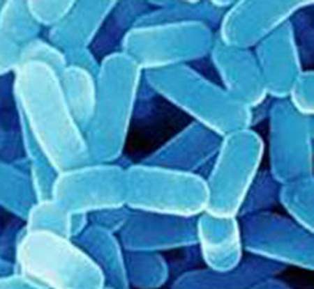 Ph&acirc;n biệt men vi sinh v&agrave; men ti&ecirc;u h&oacute;a 2