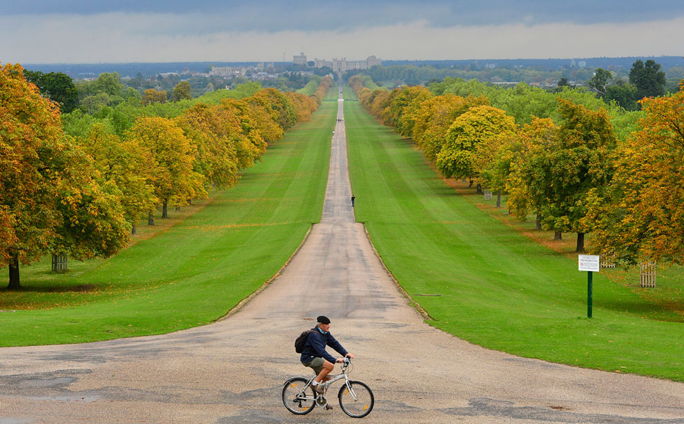 Một người đàn ông đạp xe qua con đường The Great Walk ở công viên Windsor, với lâu đài Windsor, nơi ở của nữ hoàng Elizabeth, Anh, 14/10/2013.