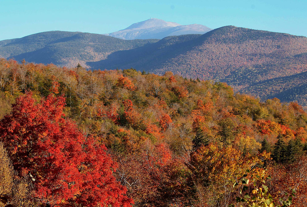 Dãy núi Presidental, khi lá rừng bắt đầu đổi màu ở rừng quốc gia White Mountain, ảnh chụp từ Location, thuộc Hart, New Hampshire, 09/10/2013.