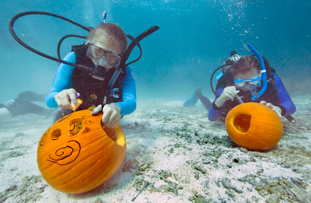 Hai thợ lặn chạm bí ngô trong cuộc thi chạm bí ngô dưới nước Underwater Pumpking Carving, ở khu bảo tồn hải dương quốc gia Florida Keys, ngoài khơi Key Largo, Florida, 19/10/2013.