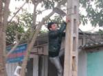 Tết về 'thắp sáng đường quê'