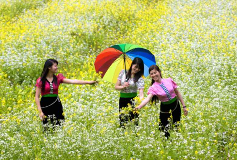 Những cô gái Thái trên đồng hoa cải thị trấn Mộc Châu