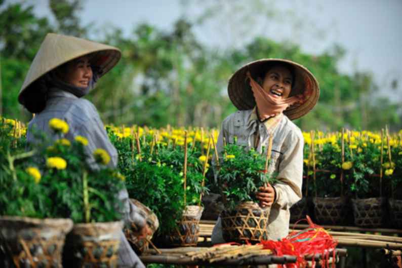 Hai chị em Hoa và Huệ đang buộc lại những giỏ hoa để mang đi bán. Trong cái nắng gắt của những ngày giáp tết, tình cờ bắt gặp được nụ cười tươi của họ như những bông hoa đang nở 