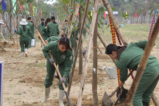 Công ty cây xanh công viên thành phố Vinh sẽ đảm nhận nhiệm vụ chăm sóc hệ thống cây xanh sau Tết trồng cây hàng năm