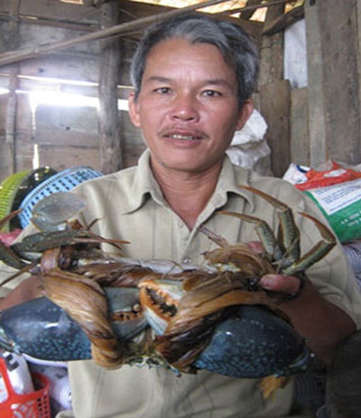 Kỷ lục về cua sen ở đầm ô loan vẫn thuộc về con cua 2,7kg bắt hồi tháng 10/2010.