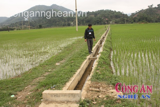 Hệ thống kênh mương tưới tiêu khá đồng bộ ở xã Quế Sơn
