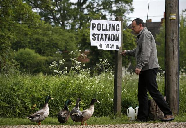 Một người Anh và bốn con vịt Mattingley, trước bảng hướng dẫn địa điểm bỏ phiếu ở phía tây London, Anh