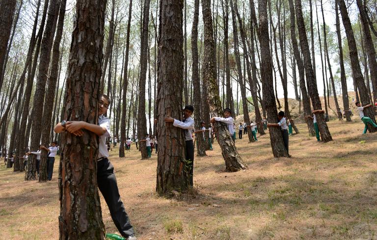 Các sinh viên Nepal vòng tay ôm những thân cây để hưởng ứng Ngày Môi trường thế giới trong khu rừng gần thủ đô Kathmandu, Nepal