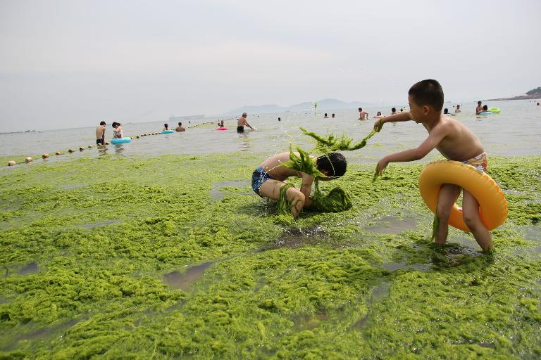 2 đứa trẻ nô đùa với tảo trên một bãi biển ở Thanh Đảo, tỉnh Sơn Đông, Trung Quốc
