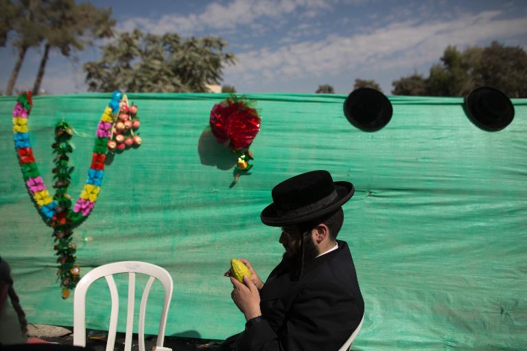 Một người đàn ông Do Thái đang ngồi kiểm tra loại trái cây sẽ được sử dụng trong lễ hội truyền thống Sukkot sắp tới tại Jerusalem