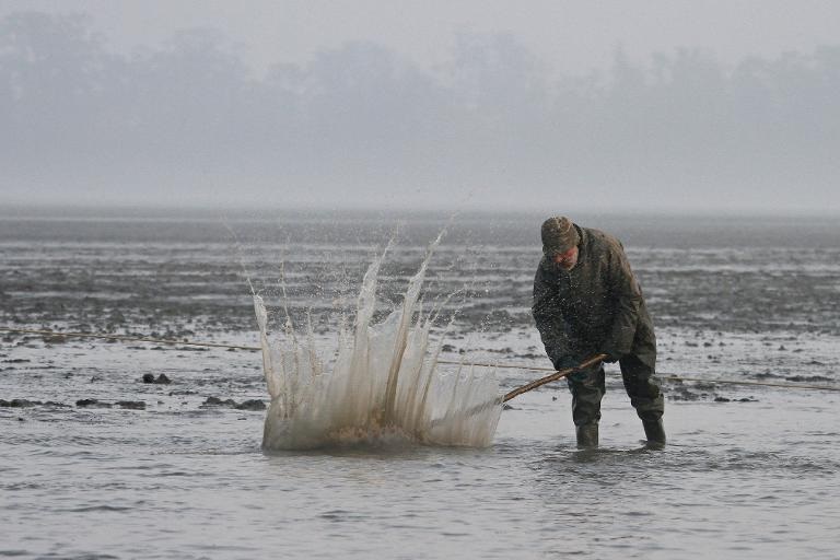 Người đàn ông bắt cá theo phương pháp truyền thống ở hồ Castle tại Jaroslavice, Cộng hòa Séc