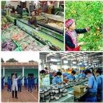 Chỉ đạo điều hành của Chính phủ, Thủ tướng Chính phủ nổi bật tuần