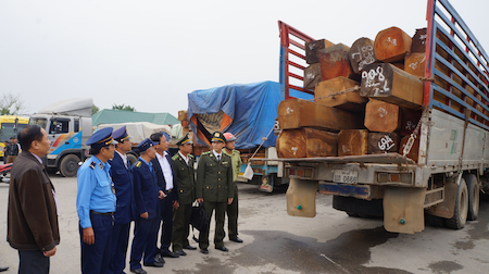 Các lực lượng chức năng tỉnh Nghệ An phối hợp bắt giữ một xe ôtô chở gỗ lậu