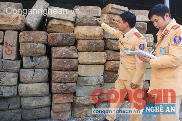 Cán bộ Đội CSGT Công an huyện Tương Dương kiểm đếm số gỗ tạm giữ
