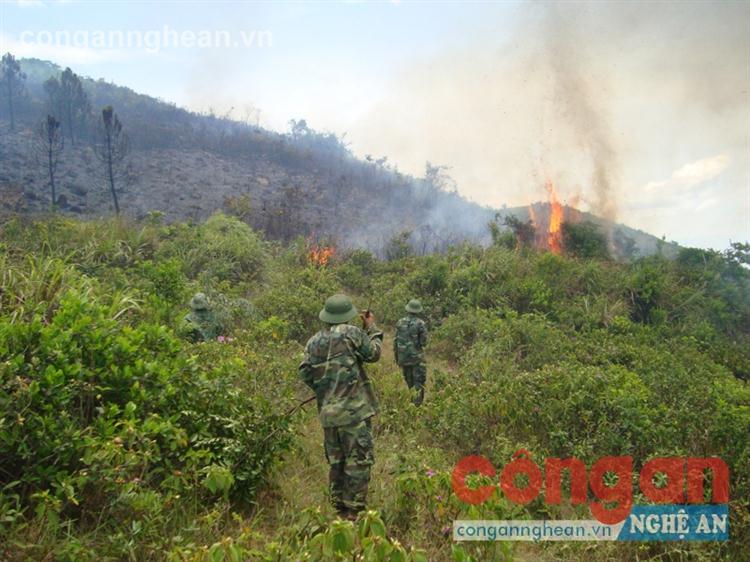 Chiến sỹ Lữ đoàn 414 cùng nhân dân tham gia chữa cháy rừng
