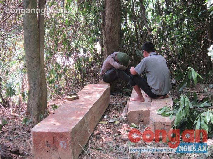 2 đối tượng phá rừng khu vực vành đai biên giới tại huyện Thanh Chương, bị Công an Nghệ An phát hiện bắt giữ. Ảnh: Hữu Trọng