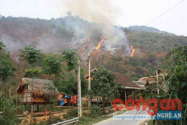 Người dân xã Yên Na, huyện Tương Dương vô tư đốt rừng làm nương rẫy, dễ dẫn đến nguy cơ cháy rừng trên diện rộng 
