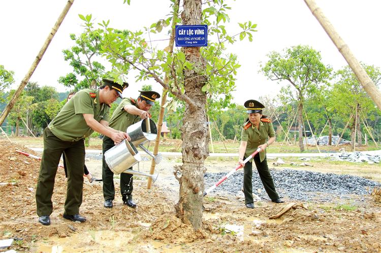 Chăm sóc cây lộc vừng mới được trồng tại Khu di tích Truông Bồn.