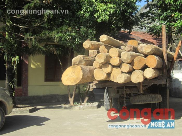 Gần 6 m3 gỗ bị thu giữ                                  trên đường vào cửa rừng 