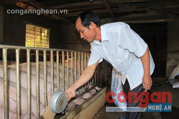 Anh Nguyễn Quốc Trung với mô hình trang trại                          mang lại hiệu quả kinh tế cao