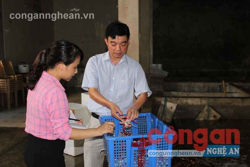 Anh Nguyễn Văn Bình trao đổi với phóng viên về kinh nghiệm nuôi hải sản tươi sống