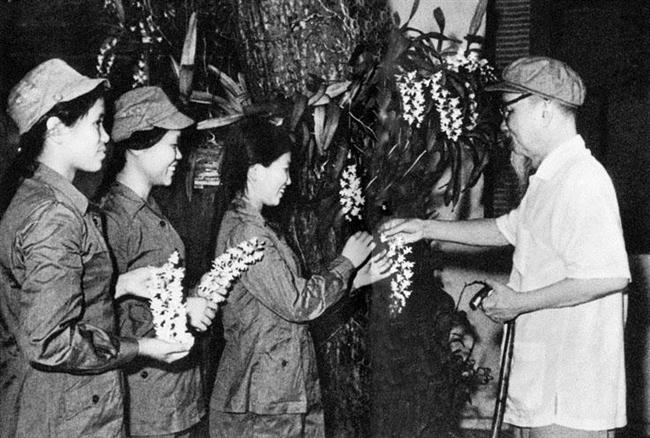 Bác Hồ tặng hoa phong lan cho 3 nữ dân quân tự vệ Liên khu IV - Ảnh tư liệu