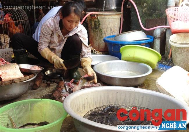 Nhiều tiểu thương buôn bán lươn tại các chợ điêu đứng vì thông tin nuôi lươn bằng thuốc tránh thai