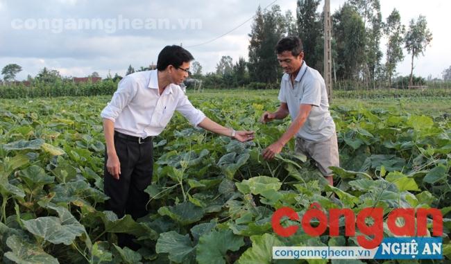Phát triển vùng chuyên canh rau sạch tại xã Nghi Liên, TP Vinh, tỉnh Nghệ An