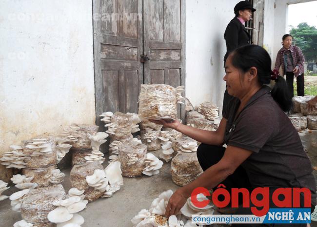 Lao động nông thôn tham khảo mô hình trồng nấm ở xã Minh Sơn, huyện Đô Lương