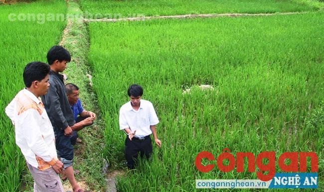 Cán bộ khuyến nông huyện Thanh Chương hướng dẫn bà con vùng tái định cư thủy điện Bản Vẽ kỹ thuật trồng lúa nước