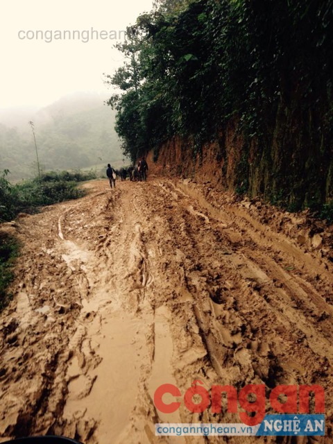 Con đường nối liền hai xã Mậu Đức và Thạch Ngàn, huyện Con Cuông lầy lội trong những ngày qua