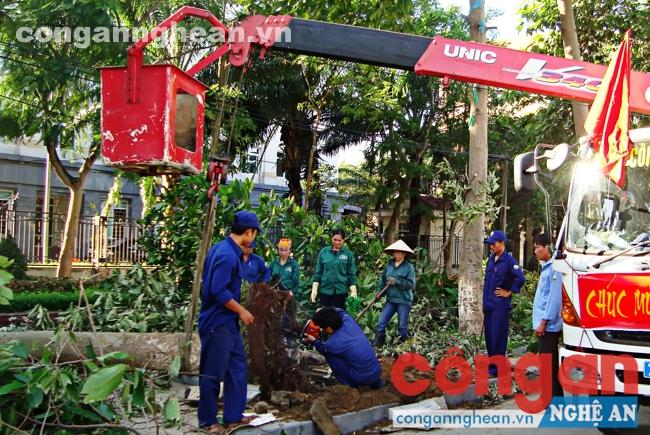 Cán bộ công nhân vệ sinh môi trường cắt tỉa cây, chuẩn bị đón Xuân 2016