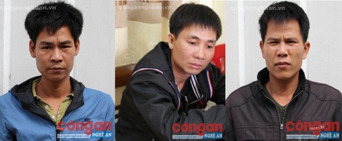Các đối tượng trong các vụ việc bị Công an huyện Diễn Châu bắt giữ