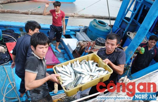 Nhộn nhịp cảnh mua bán cá khi thuyền cập cảng