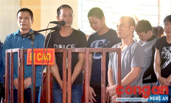 Nhóm “lâm tặc” chặt hạ 3 gốc sa mu dầu ở huyện Quế Phong (tháng 7/2015) phải lĩnh án tù