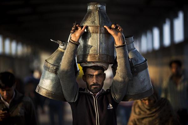 Người đàn ông giao sữa vác trên vai những thùng sữa lớn tại nhà ga Ghaziabad, ngoại ô New Delhi, Ấn Độ, 24/02/2016. 