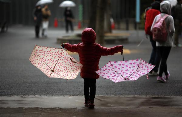 Một bé gái chơi đùa với 2 cây dù dưới trời mưa tại một công viên ở Tokyo, 20/02/2016.
