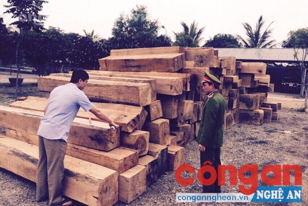 Phòng Cảnh sát Môi trường tịch thu số lượng lớn gỗ nhập lậu