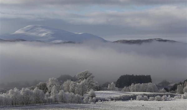 Sương sớm trên thung lũng sông Spey, gần Kincraig, Scotland, 12/02/2016.