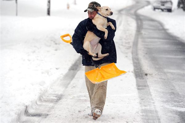  Ông Tim Breda đi bộ về nhà và ôm trên tay chú chó Jackson của ông, ở Stratford, Connecticut, 05/02/2016.