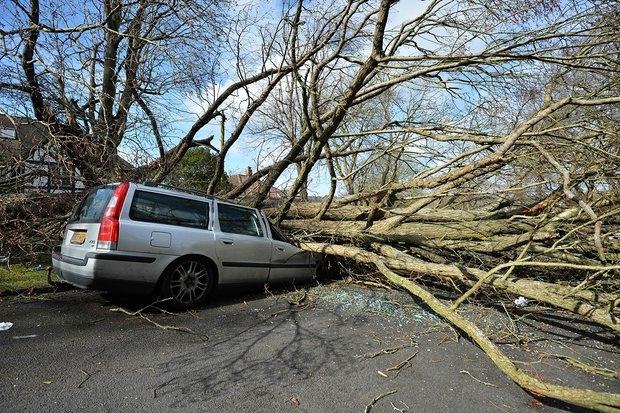 Cơn bão khiến giao thông bị ảnh hưởng tại Anh