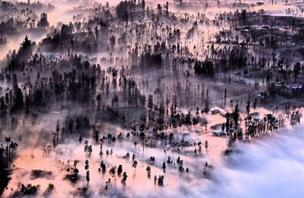 Misty At Cemoro Lawang, Indonesia - Tác giả: Achmad Sumawijaya