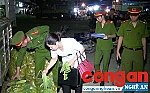 TP Vinh: Phát hiện nhiều loại rau củ quả dương tính với <em>thuốc</em> <em>bảo</em> <em>quản</em>