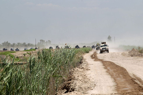 Đoàn xe quân sự chở lực lượng an ninh Iraq tiến về Fallujah. (Ảnh: Reuters).