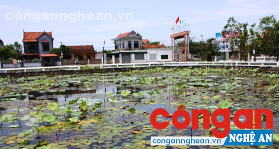 Một góc xã Quỳnh Đôi - quê hương của nhà cách mạng Hồ Tùng Mậu
