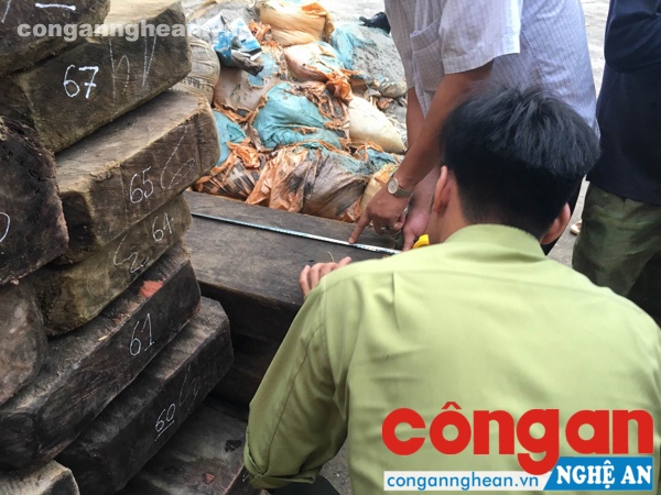 Số tang vật bị cơ quan chức năng thu giữ bàn giao cho Công an huyện Quỳ Châu điều tra xử lý theo quy định của pháp luật.