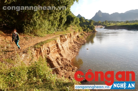 Sạt lở đất ven bờ sông Lam đang diễn ra nghiêm trọng